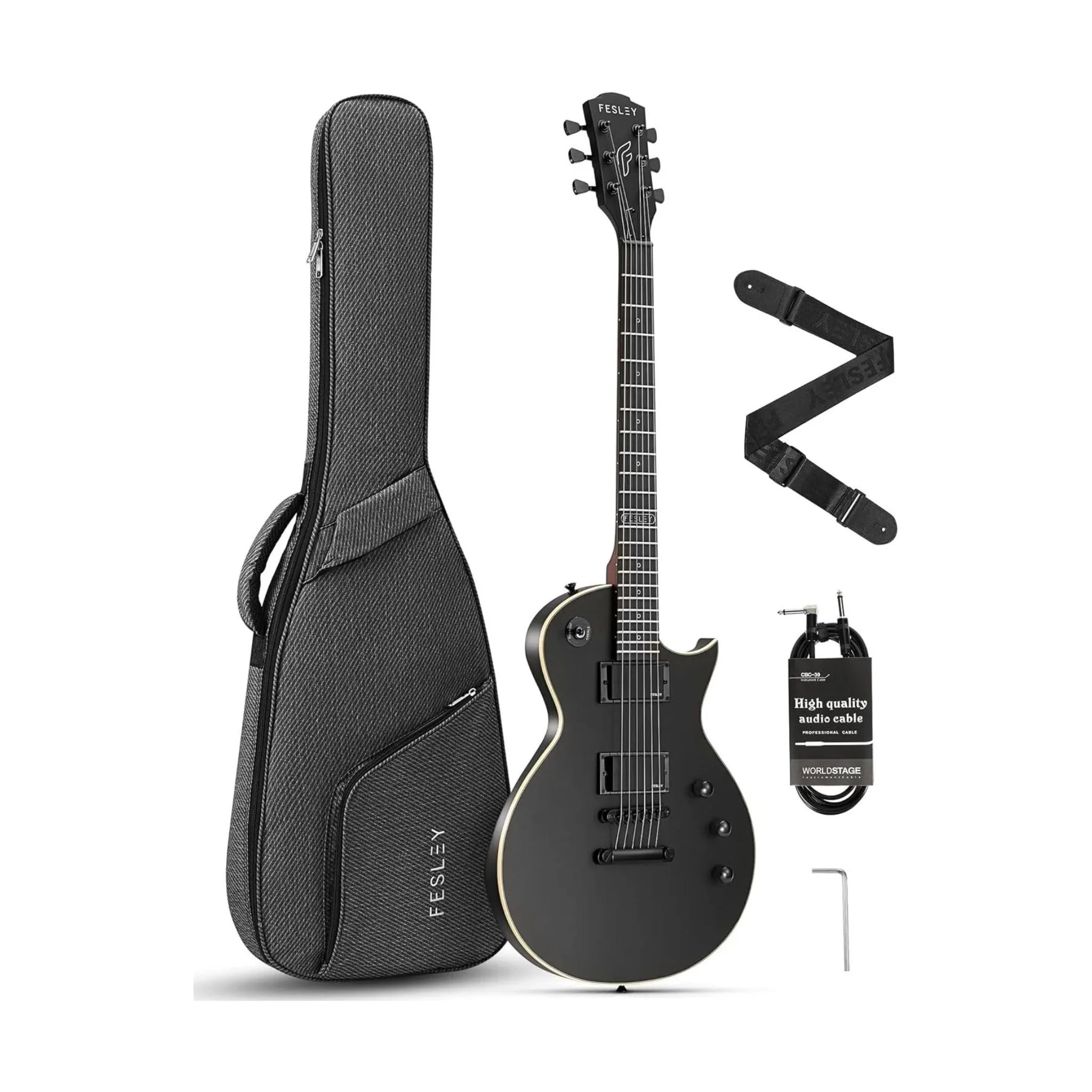 Đàn Guitar Điện Fesley FLP350 HH Techwood Fingerboard