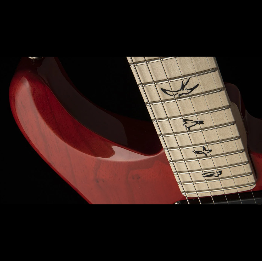 Đàn Guitar Điện PRS Fiore