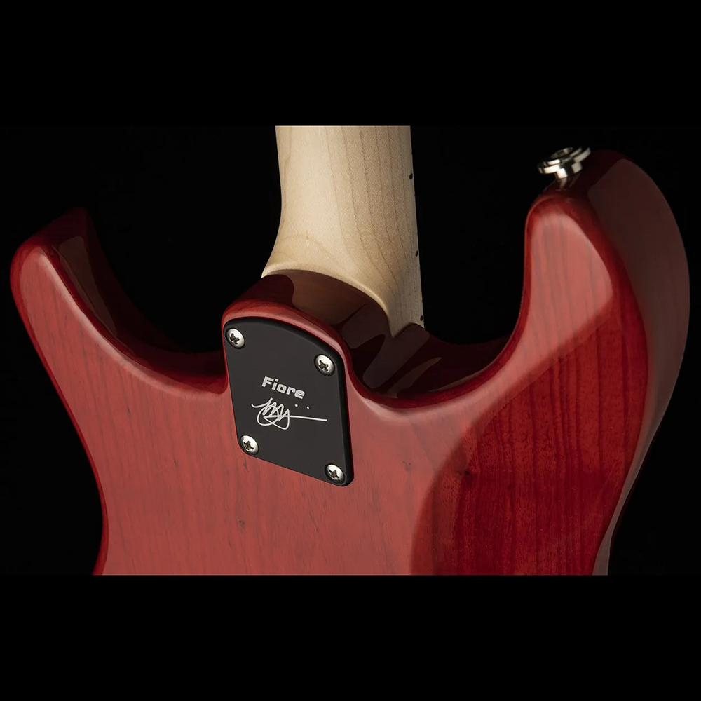 Đàn Guitar Điện PRS Fiore