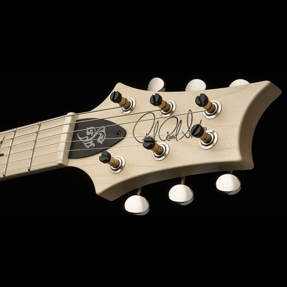 Đàn Guitar Điện PRS Fiore