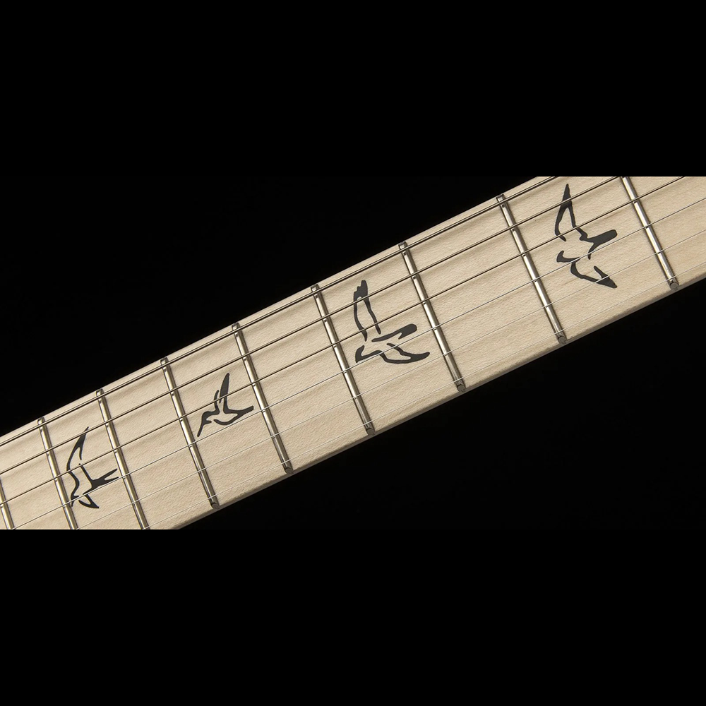 Đàn Guitar Điện PRS Fiore